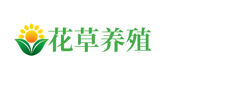 河南省南阳市桐柏县房套续声讯系统有限责任公司,张家口河南省南阳市桐柏县房套续声讯系统有限责任公司